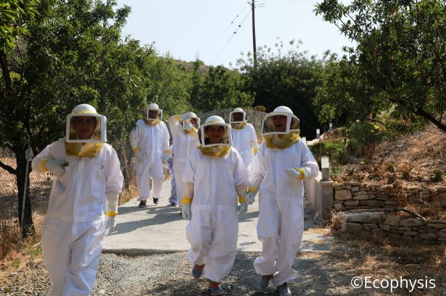 going to the hives